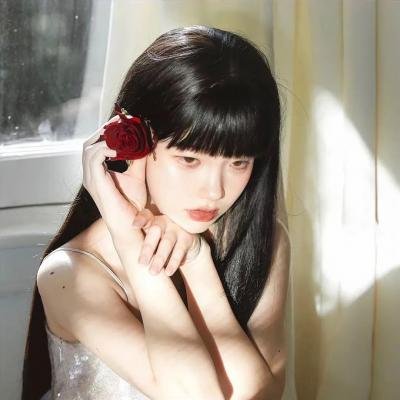 玫瑰骑士